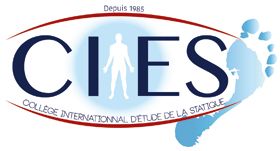 Collège International d’Étude de la Statique (CIES) Collège International d’Étude de la Statique (CIES)